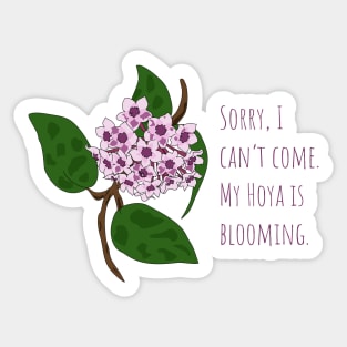 Hoya Bloom Plant Parent Design Sticker